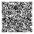 Audio Products Intl QR Card