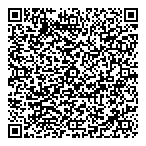 Elegant Car Rental QR Card