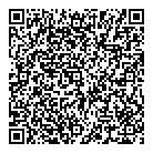 Microview Systems QR Card