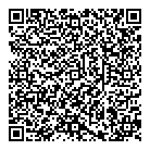 Arki Viz QR Card