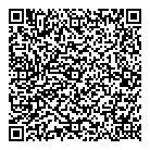 Mnp LLP QR Card