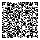 Linkep Star QR Card