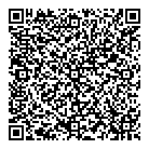 Ldmg Inc QR Card