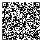 Promises  Lace QR Card