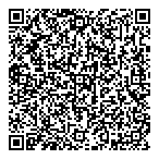 Vicso Holdings Ltd QR Card