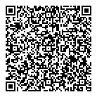 Vision Almet Ltd QR Card