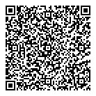 Tesla QR Card