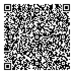 B Finlay Consulting QR Card