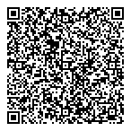 Data Wizardry Consulting QR Card