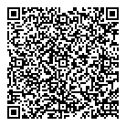 Stone Age QR Card