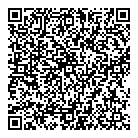 Toys Toys Toys QR Card