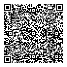 Town Taxi QR Card