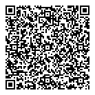 Vins Plastics Ltd QR Card