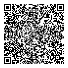 Dodick Landau Inc QR Card