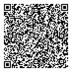 Process Electric Group Inc QR Card