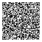 A1 Nova Electric QR Card