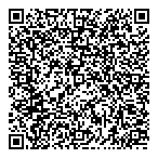 Dsa Consultant Services Ltd QR Card