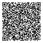 Satistar Consulting QR Card