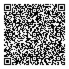 Dsm Aluminum Ltd QR Card