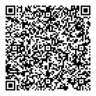 Kgo Group Ltd QR Card