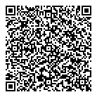 Punnen P C Dr QR Card