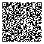 Chemline Plastics Ltd QR Card