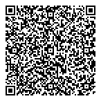 Demosretail Consulting QR Card