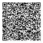 D  S Automotive QR Card