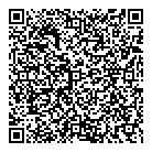 Phoenix Optical QR Card